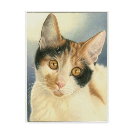 Trademark Fine Art Francien Van Westering 'Speckled Cats' Canvas Art, 18x24 ALI34812-C1824GG